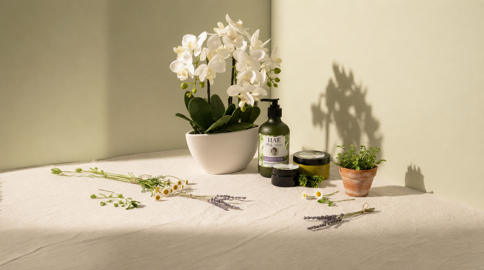 HAE Herbal Cream — products styled with botanicals